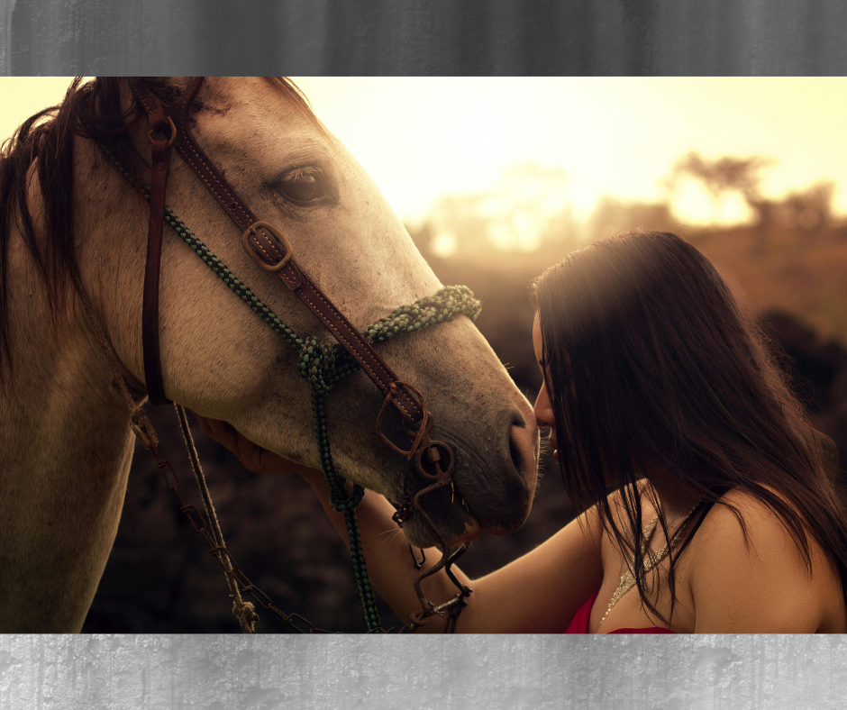 What Every Horse Owner Should Know About EMF Exposure