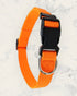 Frequency Dog Cat Pet Collar Color Orange Natural Pain Relief and Protection from 5G and EMFs